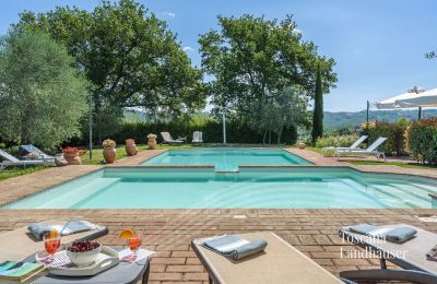 Landhaus kaufen Asciano, Toskana:  RIF 2992 Pool und Liegemöglichkeit