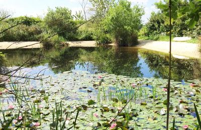 Herrenhaus/Gutshaus kaufen Gémozac, Neu-Aquitanien, Der Teich mit Sandstrand