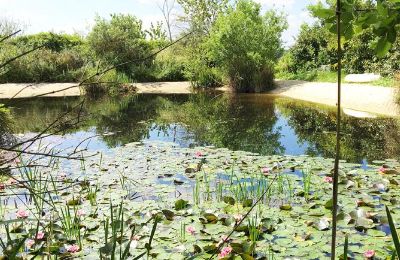 Herrenhaus/Gutshaus kaufen Gémozac, Neu-Aquitanien:  Der Teich mit Sandstrand