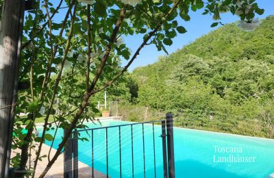 Landhaus kaufen Gaiole in Chianti, Toskana:  RIF 3003 Weg zum Pool