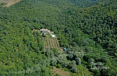 Landhaus kaufen Gaiole in Chianti, Toskana:  RIF 3003 Vogelperspektive