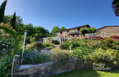 Landhaus kaufen Gaiole in Chianti, Toskana:  RIF 3003 Rustico