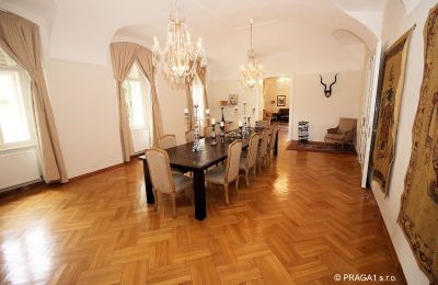 Schloss kaufen Jihomoravský kraj:  