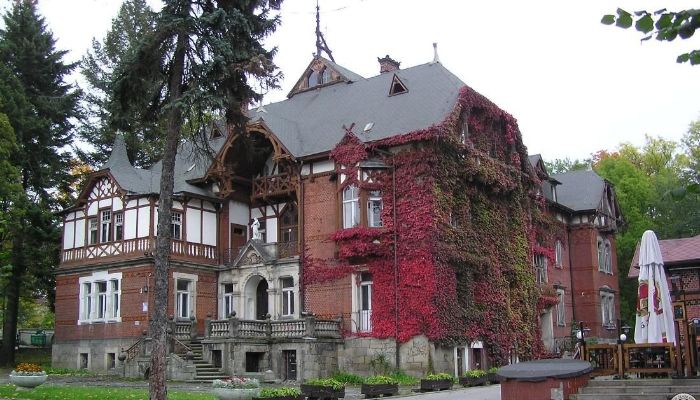 Historische Villa Kudowa-Zdrój 4