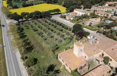 Landhaus kaufen Platja d'Aro, Katalonien, Grundstück