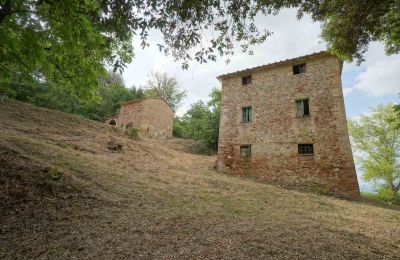 Landhaus kaufen Città di Castello, Umbrien, Foto 15/23