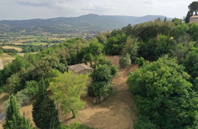 Landhaus kaufen Città di Castello, Umbrien, Foto 3/23