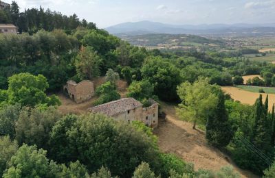 Landhaus kaufen Città di Castello, Umbrien, Foto 4/23