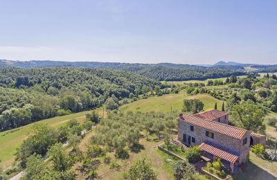Bauernhaus kaufen Asciano, Toskana:  RIF 2982 Vogelperspektive