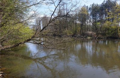 Historischer Park kaufen Dębe Wielkie, Ruda, Masowien, Teich/See