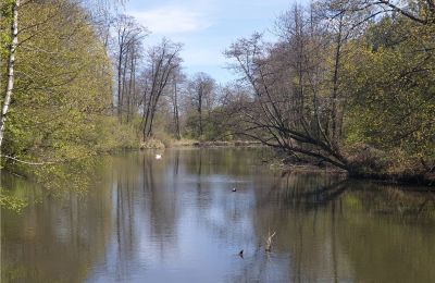 Historischer Park kaufen Dębe Wielkie, Ruda, Masowien:  