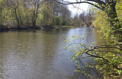 Historischer Park kaufen Dębe Wielkie, Ruda, Masowien:  