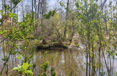 Historischer Park kaufen Dębe Wielkie, Ruda, Masowien, Foto 17/24