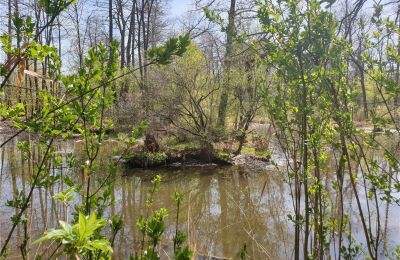 Historischer Park kaufen Dębe Wielkie, Ruda, Masowien:  