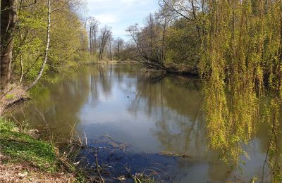 Historischer Park kaufen Dębe Wielkie, Ruda, Masowien:  