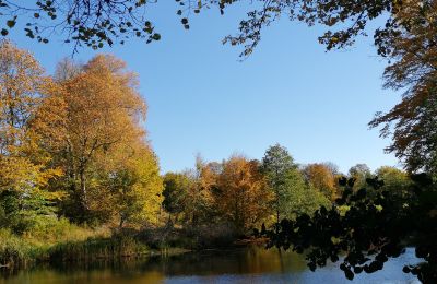 Schloss kaufen Trzcinno, Trzcinno 21, Pommern, Teich/See