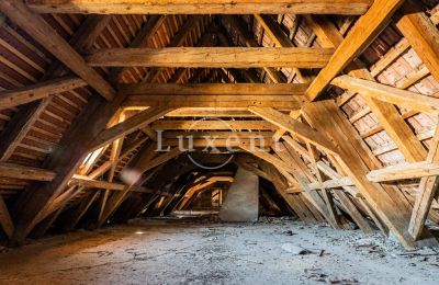 Schloss kaufen Cítoliby, Zamek Cítoliby, Ústecký kraj, Dach