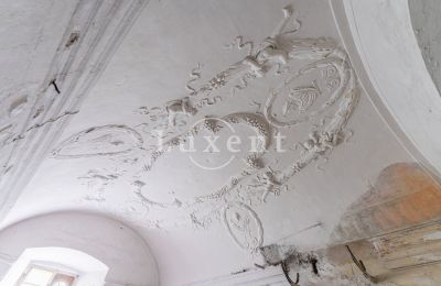 Schloss kaufen Cítoliby, Zamek Cítoliby, Ústecký kraj, Stuckdecken