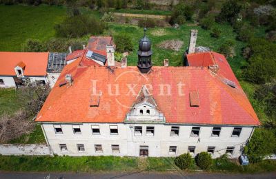 Schloss kaufen Brody, Zámek Brody, Ústecký kraj, Dach