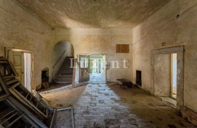 Schloss kaufen Brody, Zámek Brody, Ústecký kraj, Eingangshalle