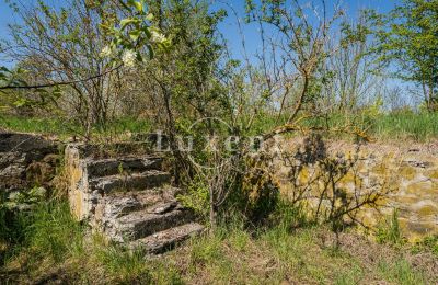Schloss kaufen Brody, Zámek Brody, Ústecký kraj, Foto 16/19