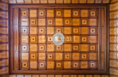 Schloss kaufen Mirošov, Zámek Mirošov, Plzeňský kraj, Decke