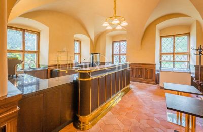 Schloss kaufen Mirošov, Zámek Mirošov, Plzeňský kraj, Foto 19/30
