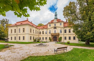 Schloss kaufen Mirošov, Zámek Mirošov, Plzeňský kraj, Garten