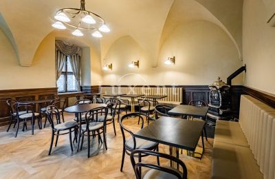 Schloss kaufen Mirošov, Zámek Mirošov, Plzeňský kraj, Foto 17/30