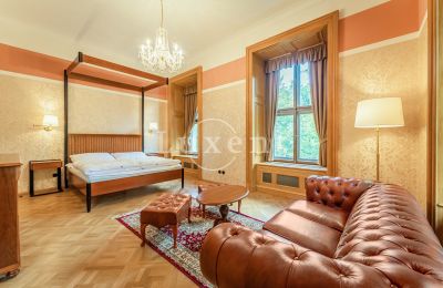 Schloss kaufen Mirošov, Zámek Mirošov, Plzeňský kraj, Foto 15/30