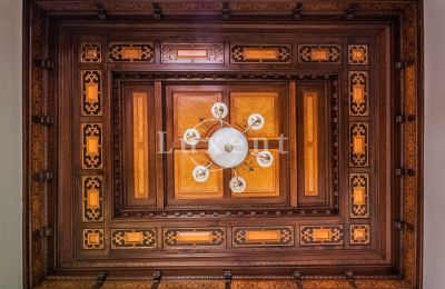 Schloss kaufen Mirošov, Zámek Mirošov, Plzeňský kraj, Foto 12/30