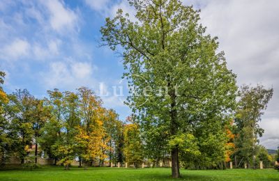 Schloss kaufen Mirošov, Zámek Mirošov, Plzeňský kraj, Foto 24/30