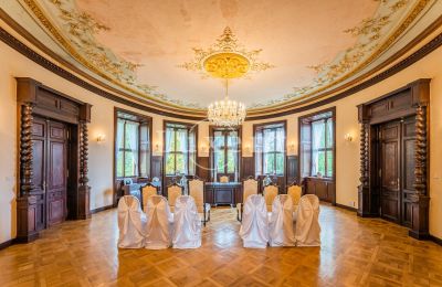 Schloss kaufen Mirošov, Zámek Mirošov, Plzeňský kraj, Ballsaal