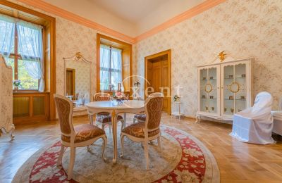 Schloss kaufen Mirošov, Zámek Mirošov, Plzeňský kraj, Foto 20/30