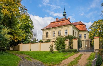 Schloss kaufen Mirošov, Zámek Mirošov, Plzeňský kraj, Foto 27/30