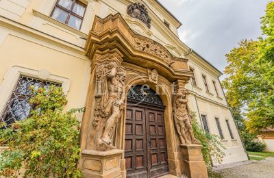 Schloss kaufen Mirošov, Zámek Mirošov, Plzeňský kraj, Foto 29/30