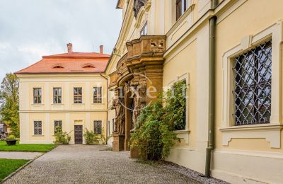 Schloss kaufen Mirošov, Zámek Mirošov, Plzeňský kraj, Foto 28/30