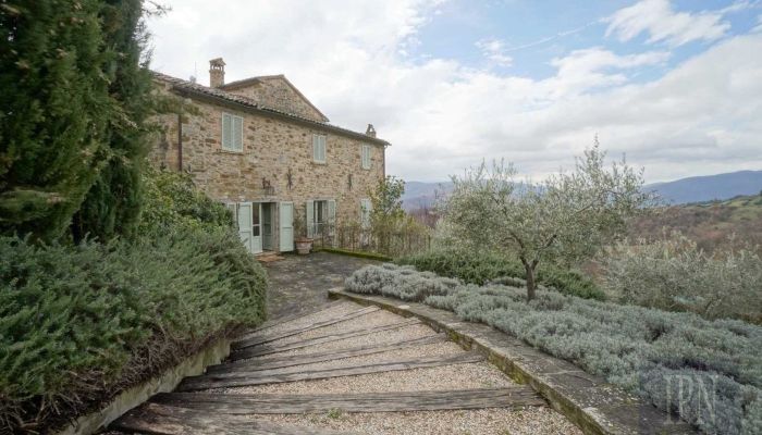  Città di Castello 2