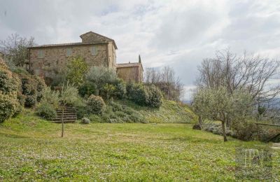 Bauernhaus kaufen Città di Castello, Umbrien:  