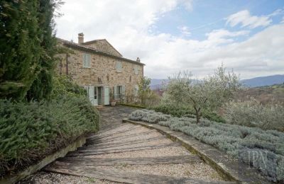 Landhaus kaufen Città di Castello, Umbrien, Zufahrt