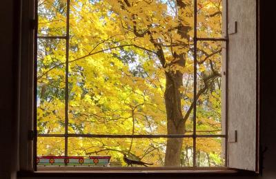 Schloss kaufen Piszkowice, Niederschlesien, Foto 26/28