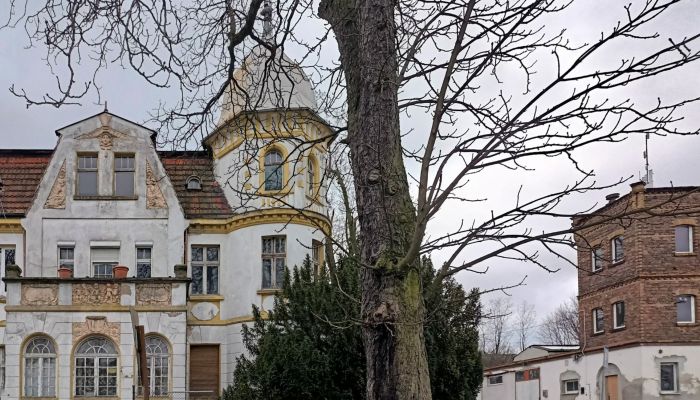 Historische Villa Tuplice 3