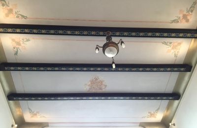 Historische Villa kaufen Strzelin, Kazanów 21, Niederschlesien, Foto 9/35