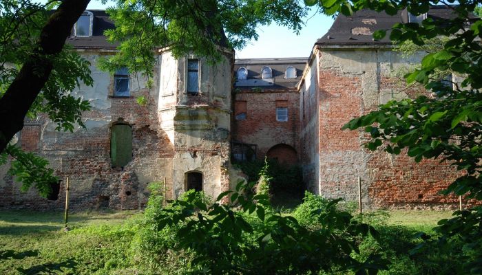 Schloss Komorowice 4