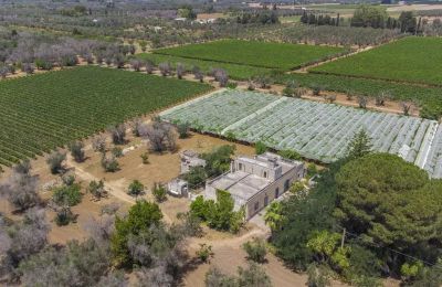 Bauernhaus kaufen Oria, Apulien:  Grundstück