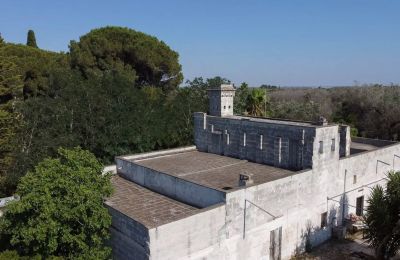 Bauernhaus kaufen Oria, Apulien:  Dachterrasse