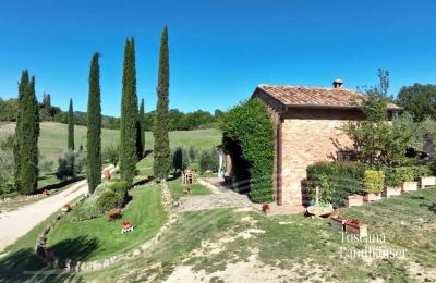 Landhaus kaufen Chianciano Terme, Toskana:  RIF 3061 Haus und Zufahrt