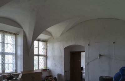 Schloss kaufen Pisarzowice, Oppeln, Foto 9/17