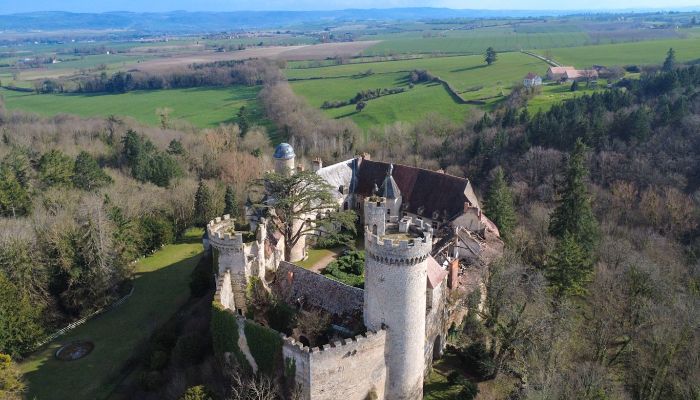 Schloss kaufen Veauce, Auvergne-Rhône-Alpes,  Frankreich