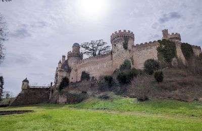 Schloss kaufen Veauce, Auvergne-Rhône-Alpes, Foto 3/10